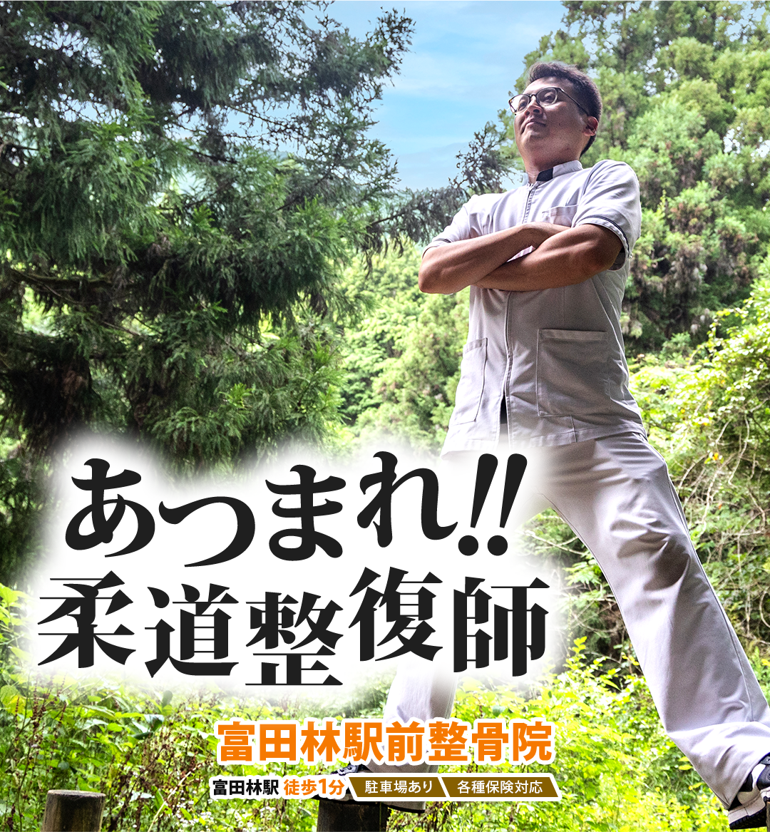 あつまれ柔道整復師